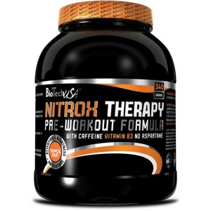 NitroX Therapy - Biotech USA 340 g Broskyňa