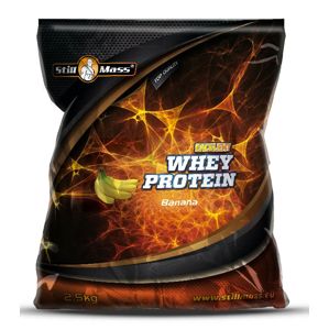 Excelent Whey Protein - Still Mass  2500 g Chocolate