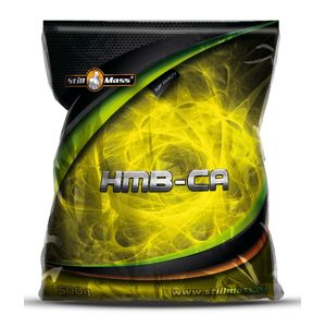 HMB-CA - Still Mass  500 g Orange