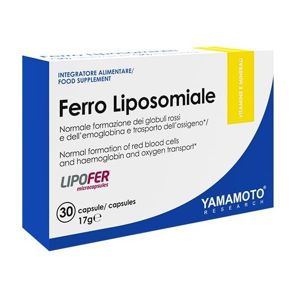 Ferro Fosfolipidico (železo + vitamín C) - Yamamoto 30 kaps.