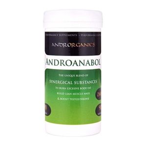 Androanabol - Androrganics 90 g